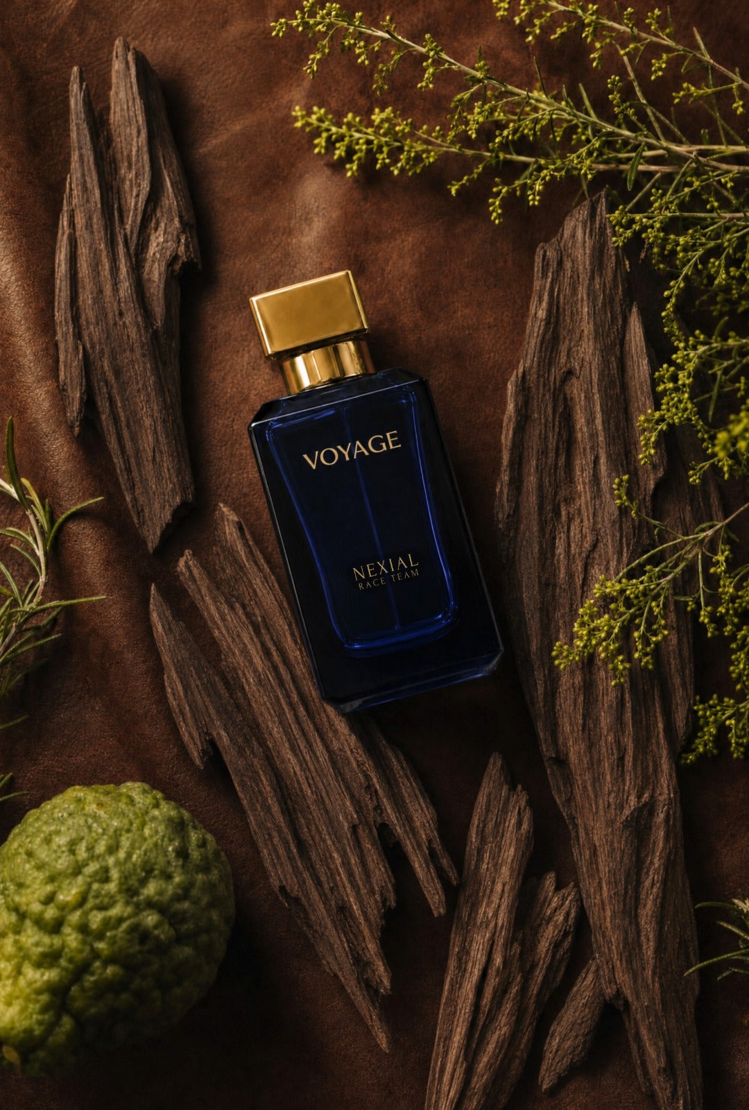 Voyage